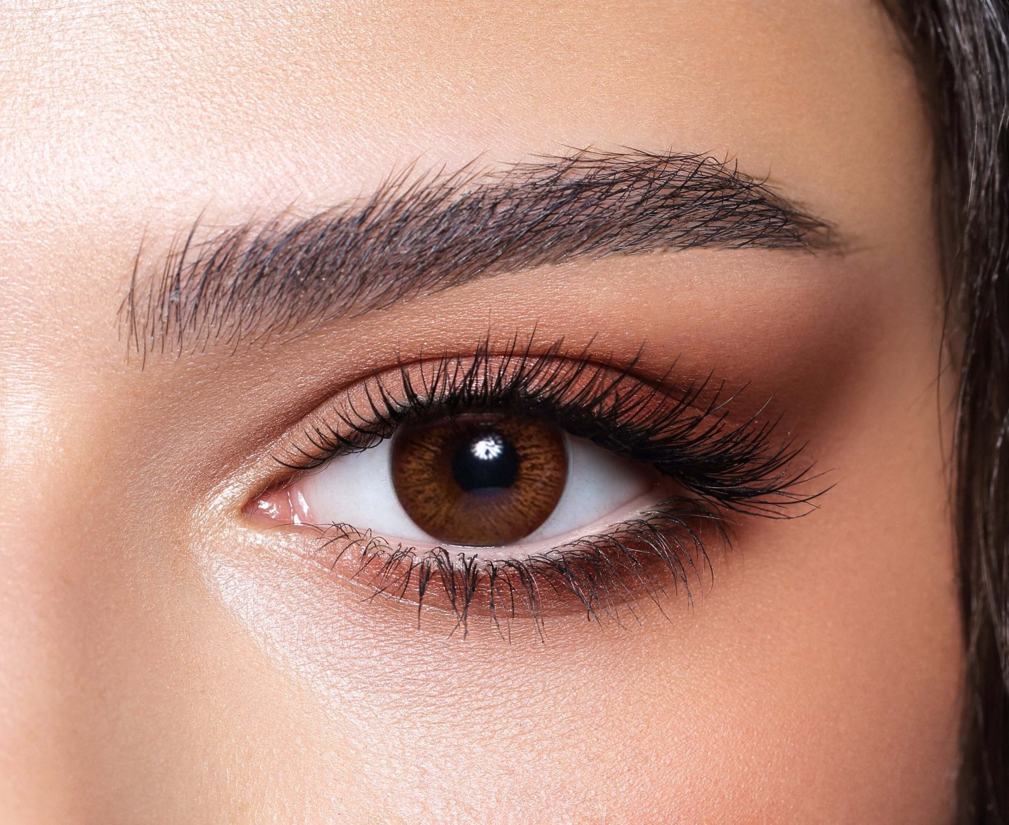 Elite Cinnamon Brown - Colour Lenses - 1001eyewear